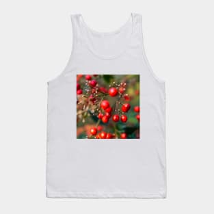 Photography - winter red berry Tank Top